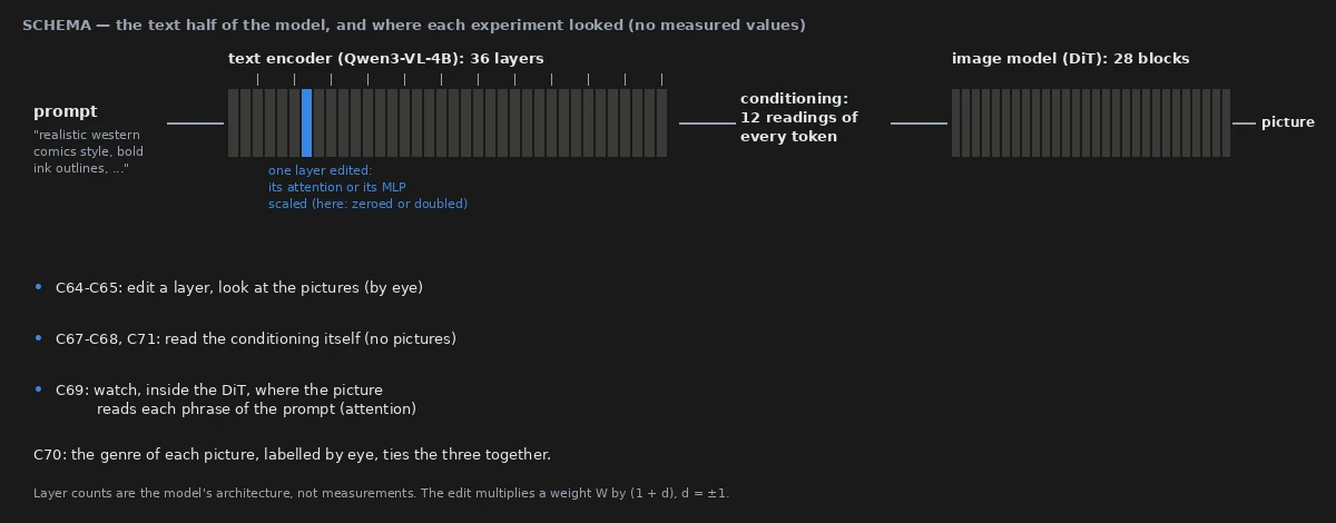 Schema: the prompt goes through a 36-layer text encoder, one layer of which is edited; the conditioning carries 12 readings of every token to the 28-block image model, which draws the picture; each experiment looked at a different stage.